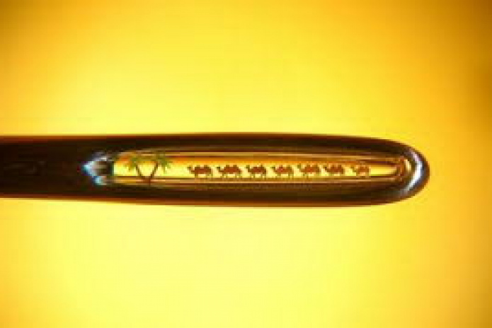 Диво под микроскопом